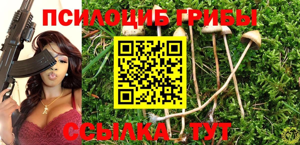 Галлюциногенные грибы GOLDEN TEACHER  Вход с VPN  Щёлково 